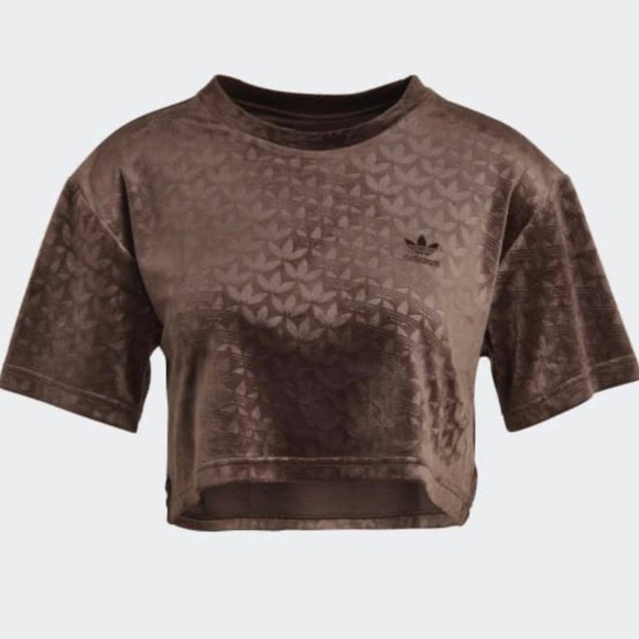 Adidas Cropped Velvet Monogrammed Tee Brown NEW without tags - Picture 1 of 4